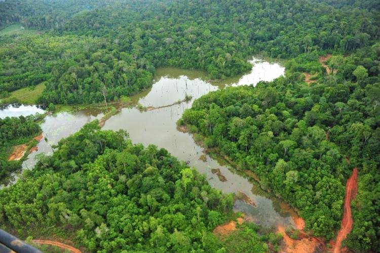 Amapá elabora projeto de desenvolvimento sustentável para apresentar ao Fundo Amazônia