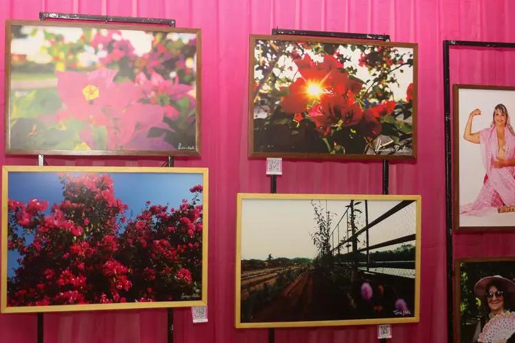 Exposição no Palácio do Setentrião celebra o Outubro Rosa com arte, emoção e histórias de superação