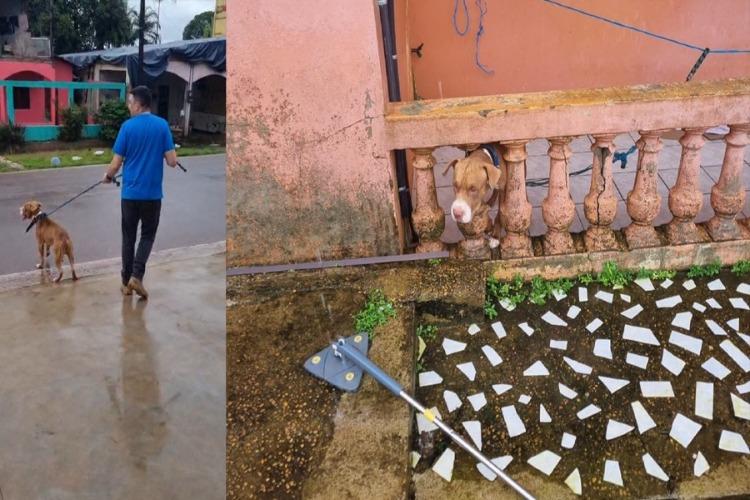 Em Oiapoque, Polícia Civil resgata animal em situação de abandono e maus-tratos