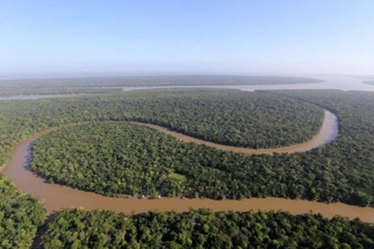 Autorizações de exploração na Flota devem ter anuência da União, advertem MPF e MP/AP