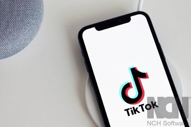 Uso profissional do TikTok: especialista explica como utilizar o potencial da rede para divulgar seu trabalho