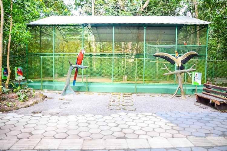 ANIMAIS DA FUNDAÇÃO BIOPARQUE DA AMAZÔNIA RECEBEM CUIDADOS ESPECIAIS DIARIAMENTE