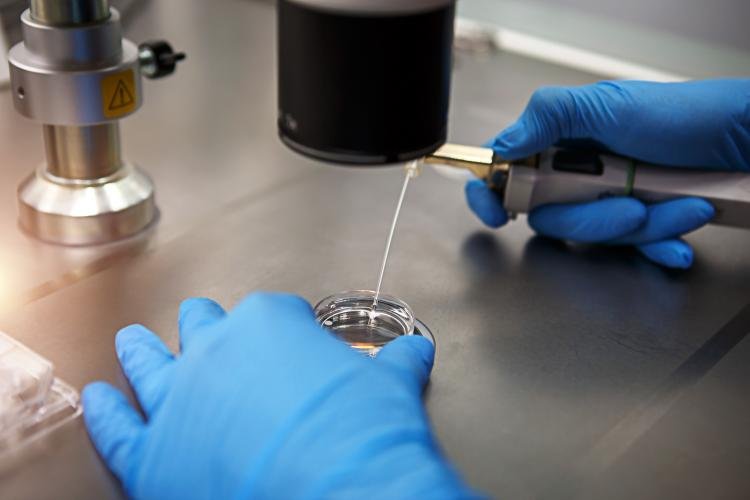 Septicemia: doença que mais mata no mundo volta aos holofotes