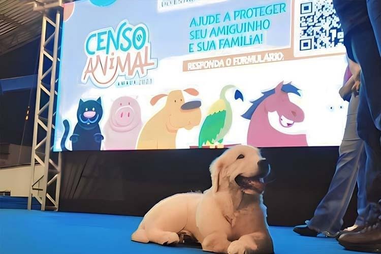 Governo do Amapá lança o Censo Animal para mapear a população de pets no estado