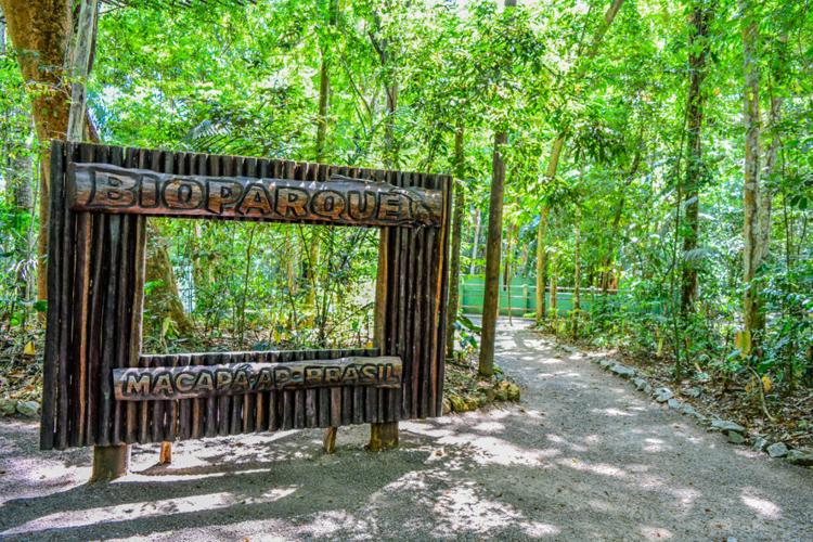 Bioparque da Amazônia: Um refúgio verde em meio à maior floresta do mundo