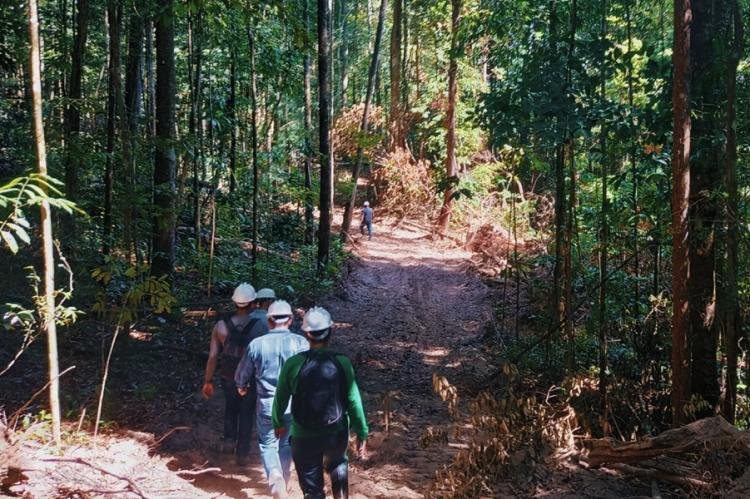 Plano de manejo florestal sustentável de indústria madeireira no Vale do Jari recebe vistoria