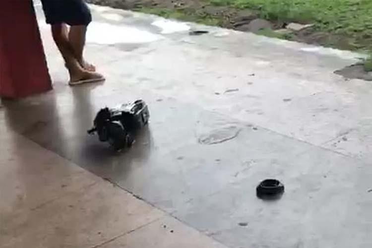 Homem que agrediu equipe de reportagem da Rede Amazônica no Amapá é indiciado