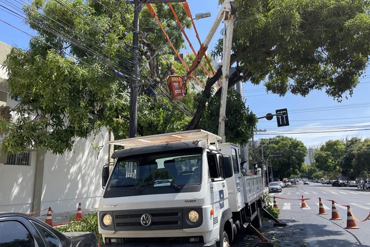 Seis cidades recebem ações de manutenção e melhoria na rede elétrica entre 15 e 19 de abril