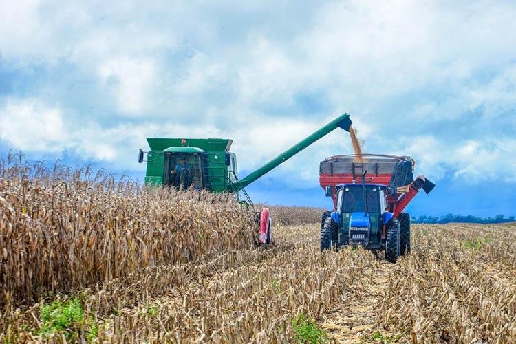 "Agro Show Amapá": GEA promove debates sobre o fortalecimento do agronegócio na Amazônia