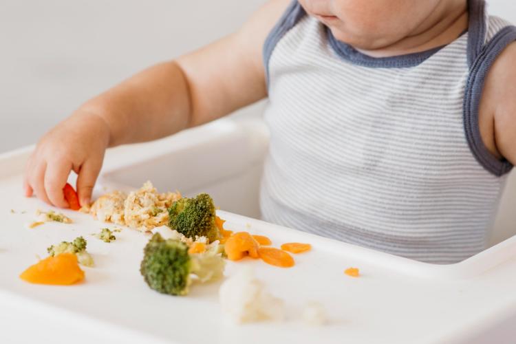 Meu filho não quer comer
