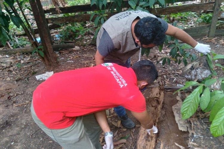 Vigilância Epidemiológica realiza visita e investigação de hospedeiros no bairro Marabaixo III