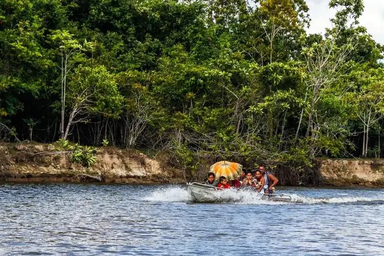 100 dias para a COP30: com 97% de sua floresta nativa preservada, Amapá se prepara para atrair investidores no mercado de bioeconomia