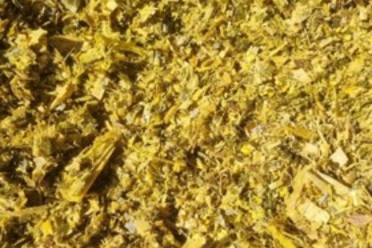 Volumoso de qualidade exige cuidados da colheita da planta ao armazenamento