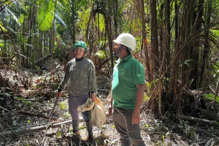 Governo do Amapá realiza ação de assistência técnica na foz do rio Macacoari para fortalecer produção agroextrativista
