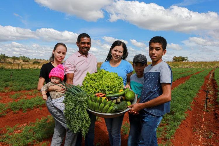  Às vésperas de lançar novo Plano Safra da Agricultura Familiar, Governo Federal comemora resultados da safra 2024-2025