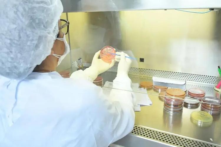 Governo do Amapá anuncia investimento à pesquisadores de excelência com bolsa de produtividade 