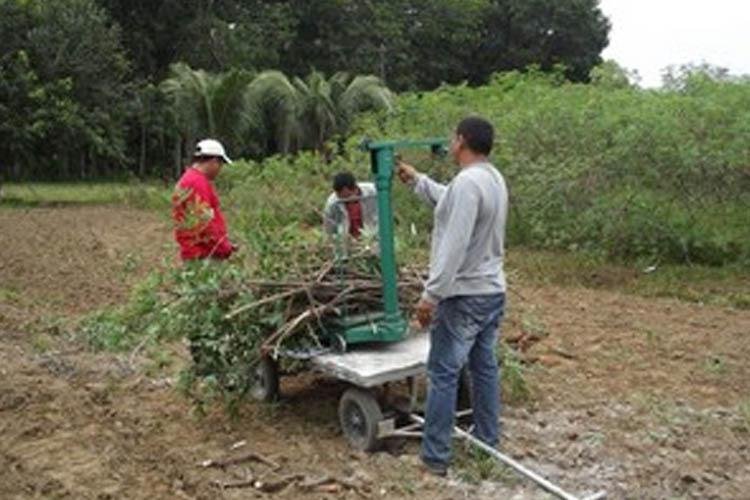 Rede de multiplicação de maniva-semente será apresentada a técnicos e produtores do Amapá