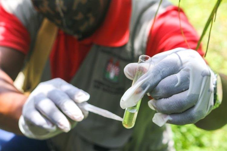 LIRAa aponta baixo risco de infestação por mosquitos do Aedes aegypti