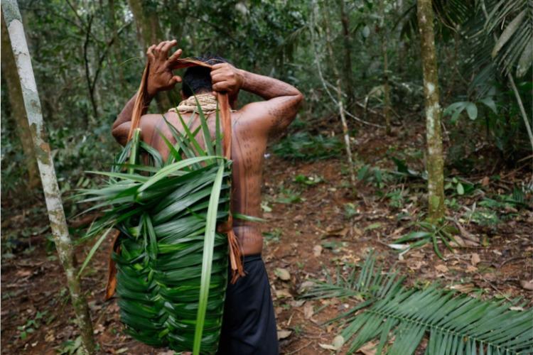 Fundo Amazônia destina R$ 80 milhões para fortalecer a produção sustentável de comunidades da Amazônia