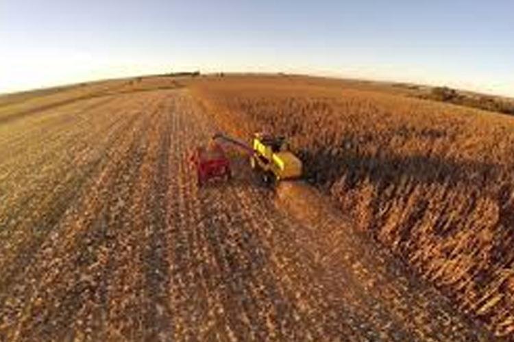 Aplicativo Zarc Plantio Certo é apresentado na abertura da TecnoAgro 2019    
