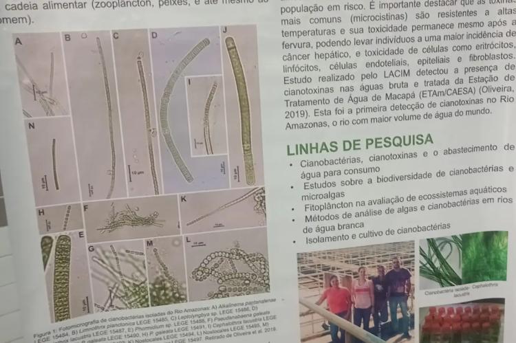 Pesquisadoras do Iepa apresentam estudos durante a 23ª Semana Nacional de Ciência e Tecnologia