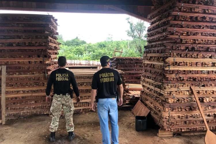 Homem é preso pela PF por armazenar madeira ilegal no AP, em caminhões que iriam para o PI