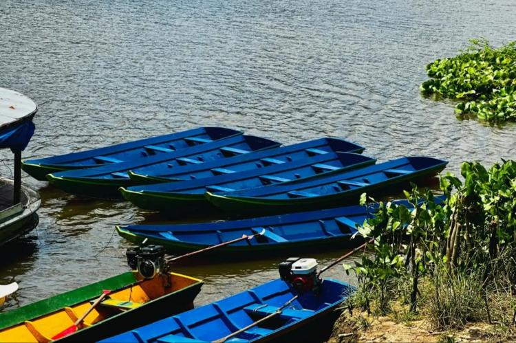 Governo do Amapá fortalece a bioeconomia com entrega de equipamentos para extrativistas em Mazagão
