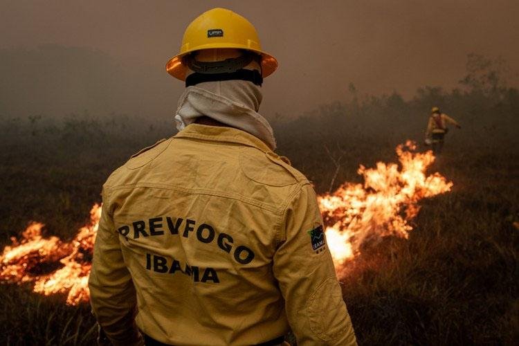ICMBio abre seleção de 21 brigadistas temporários em 5 unidades do Amapá; veja o edital