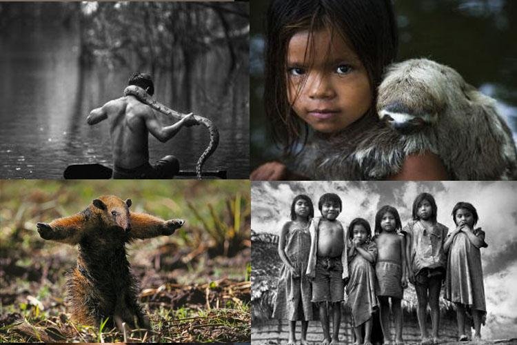 Ícone da fotografia, Araquém Alcântara, comemora 50 anos de carreira com novos projetos