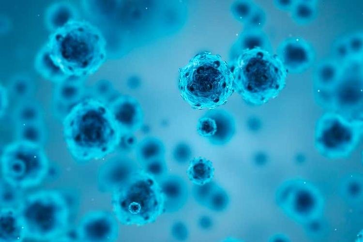 Herpes sem crise: como identificar e controlar os gatilhos