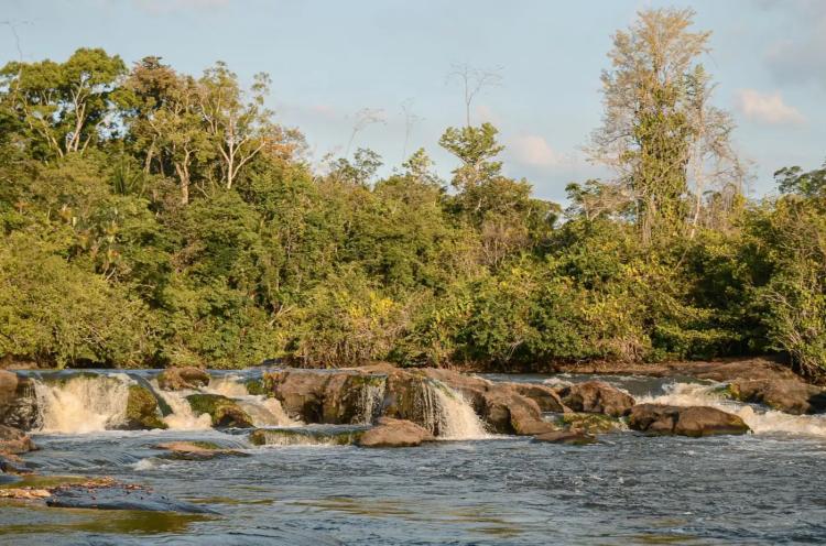 Governo do Amapá conclui Plano de Proteção e avança na revisão do Plano de Manejo da Reserva do Rio Iratapuru