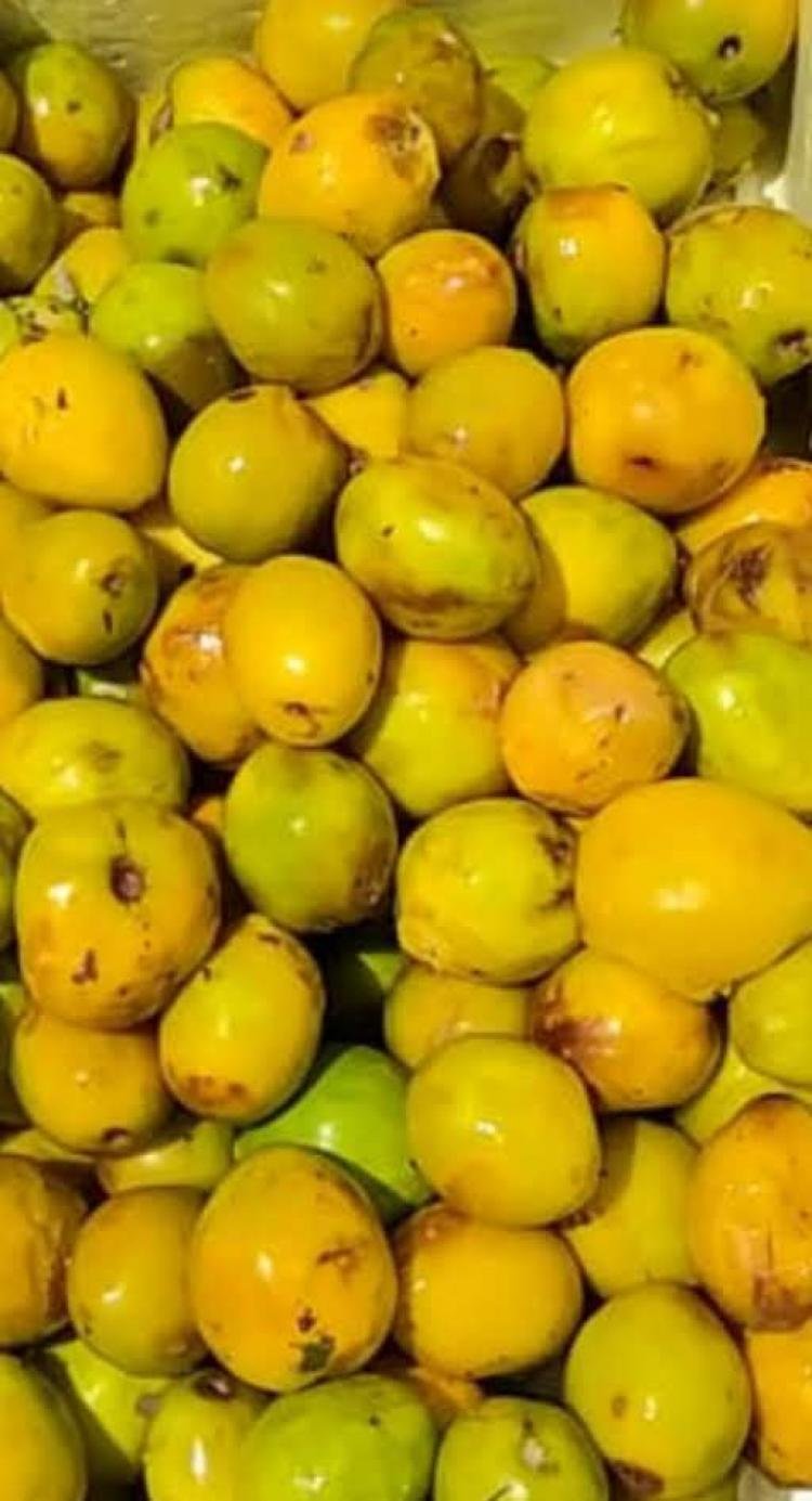 Golosa, o fruto da Amazônia com sabor de conservação