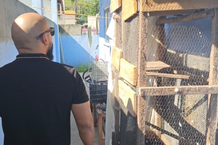 Em Macapá, polícias Civil e Militar apreendem animal silvestre mantido ilegalmente em cativeiro