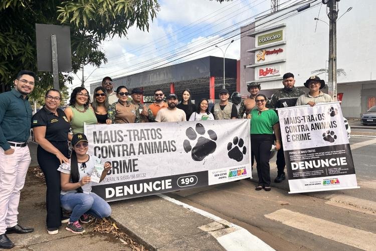 Dezembro Verde: Prefeitura de Santana promove ações de conscientização pela causa animal