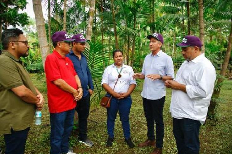 Amapá: Waldez Góes visita produtores de açaí e destaca importância do microcrédito