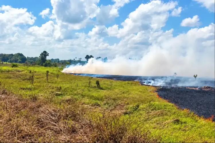 Governador Clécio decreta emergência em todo o Amapá devido à estiagem e efeitos do El Niño e reforça ações contra focos de calor
