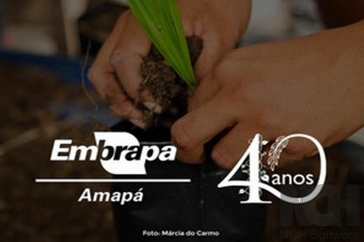 Live comemorativa Embrapa Amapá. 40 anos na Linha do Equador