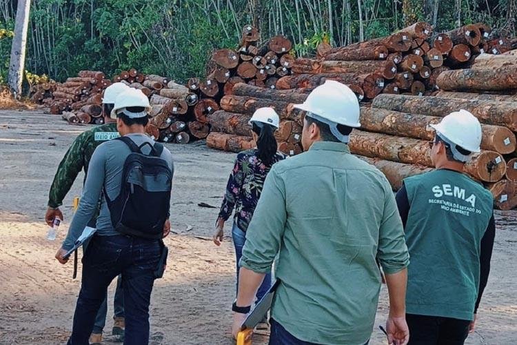Plano de manejo florestal sustentável de indústria madeireira no Vale do Jari recebe vistoria