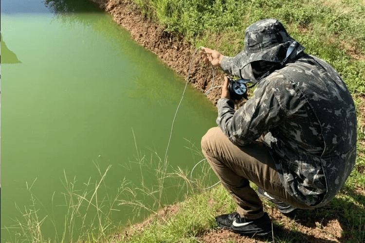 Programa de aceleração investe R$ 600 mil em negócios de impacto na Amazônia