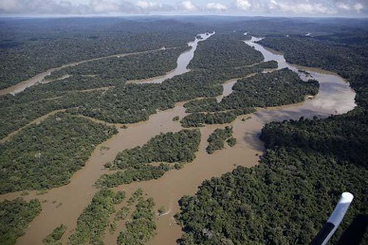 MPF apresenta nova denúncia sobre concessão irregular de terras na Floresta Estadual do Amapá 