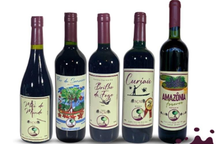 Descubra novos sabores na degustação de bebidas fermentadas de açaí em Santana