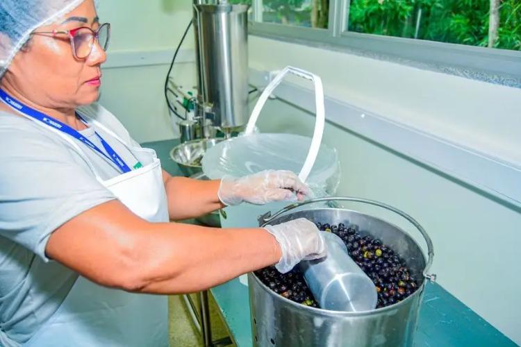 Estado do Amapá lidera ranking de patentes em relação ao PIB na Região Norte e alcança 9ª posição no Brasil