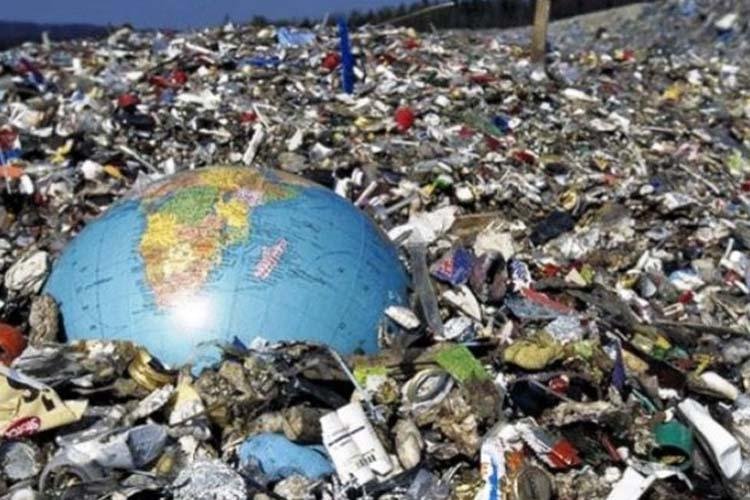 Cientistas e pesquisadores alertam sobre a relação direta entre doenças infecciosas e a degradação da natureza