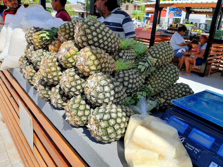 Feirão da Galibis em Macapá promove alimentos saudáveis e fortalece agricultura familiar