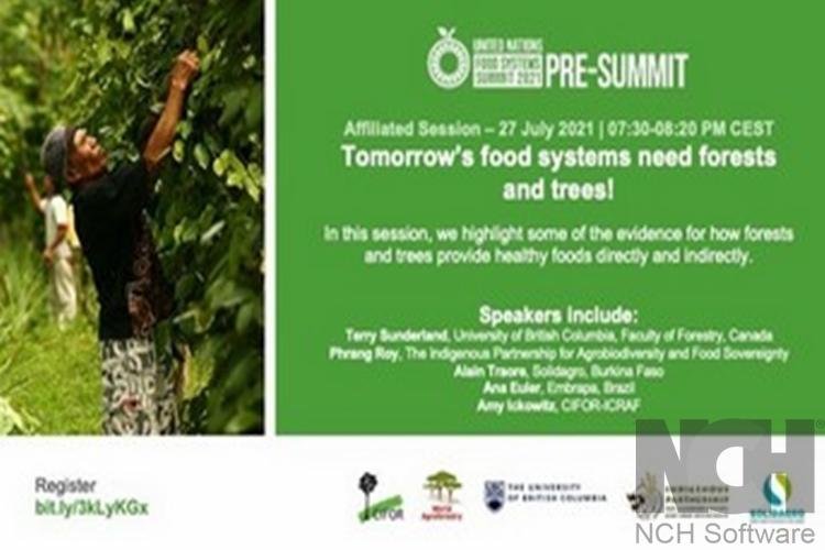 Mercado para frutas da Amazônia é apresentado por pesquisadora da Embrapa Amapá na pré-cúpula dos Sistemas Alimentares