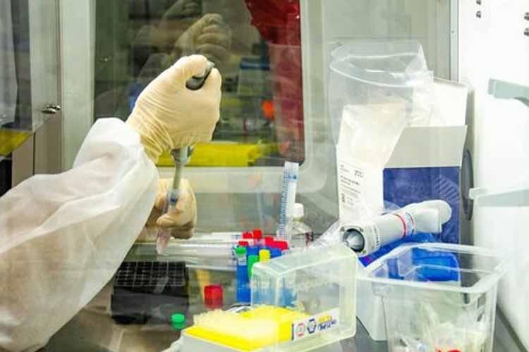 Ministério da Saúde confirma primeiro caso de reinfecção por Covid-19 no Brasil