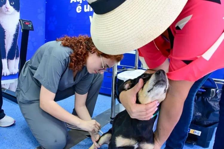 Governo do Estado realiza mutirão de castração gratuita para cães e gatos no Residencial Macapaba 2