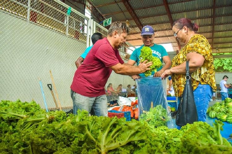 PAA 2020: Governo do Amapá lança nova chamada pública para agricultores e entidades 