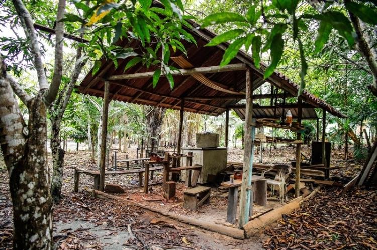 Americanas e FAS ampliam oferta de cursos de biodiversidade para transformar 100 comunidades amazônicas