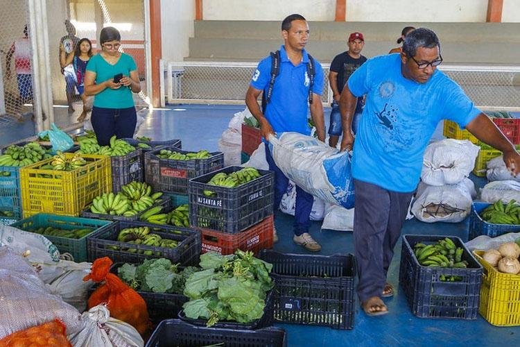 PAA 2020: Governo divulga lista de agricultores e entidades aptos a acessar recursos do programa